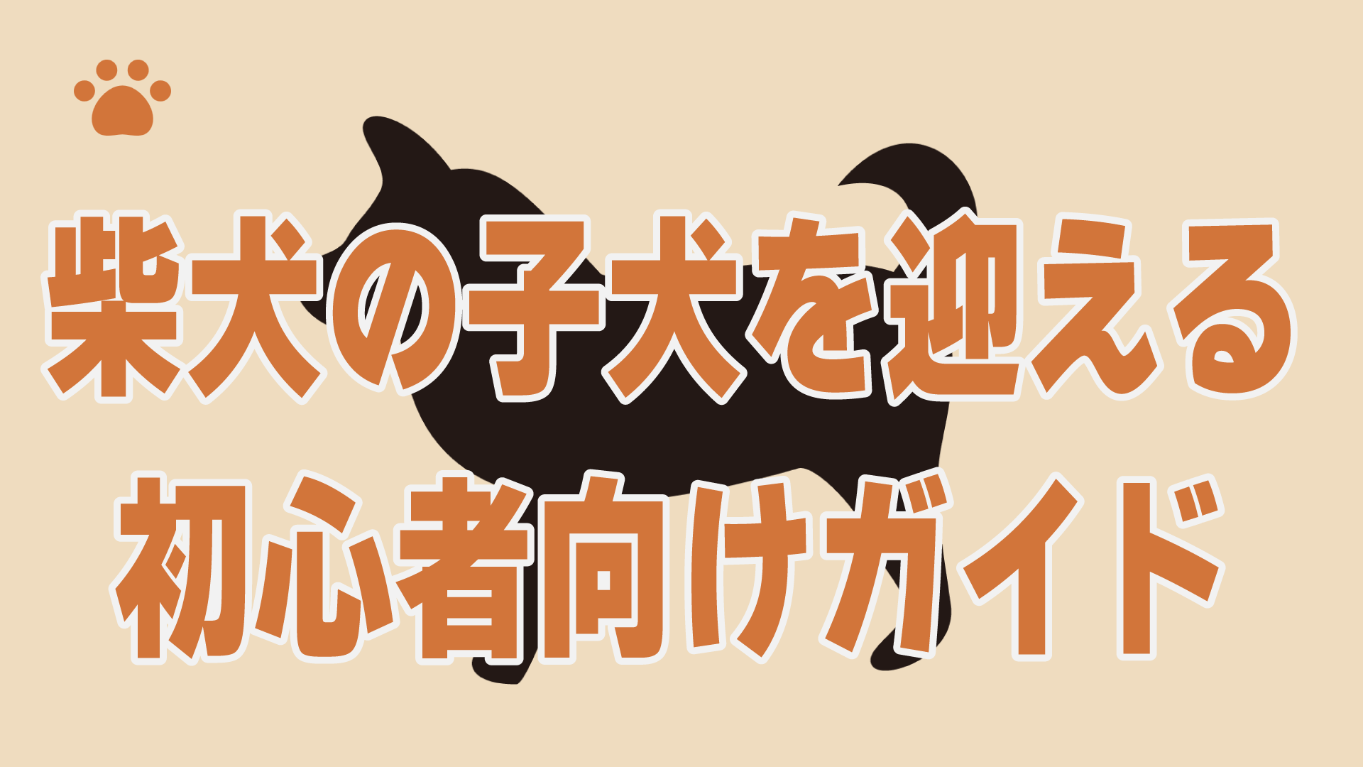 柴犬の子犬を迎える初心者向けガイド