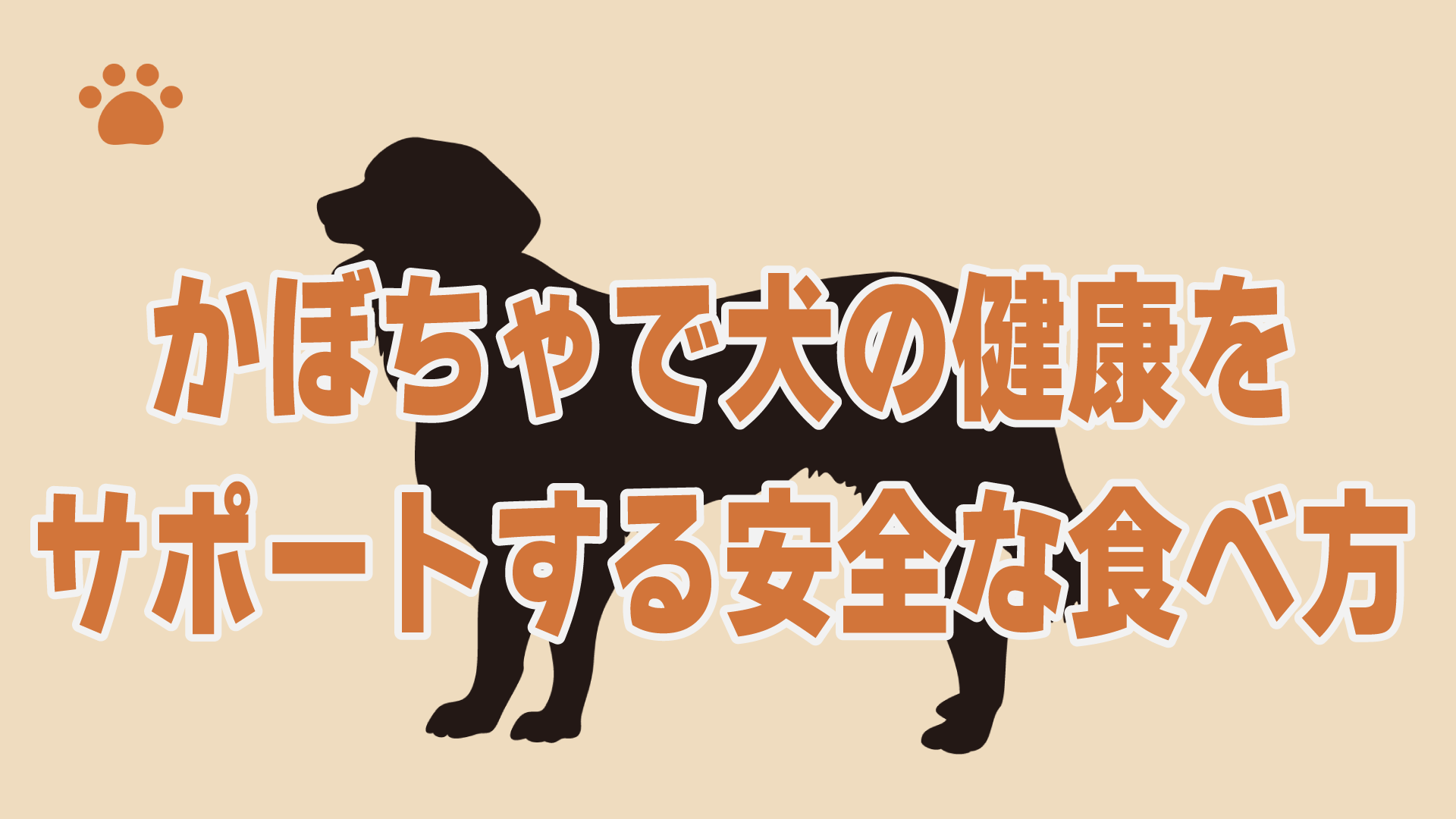 かぼちゃで犬の健康をサポートする安全な食べ方
