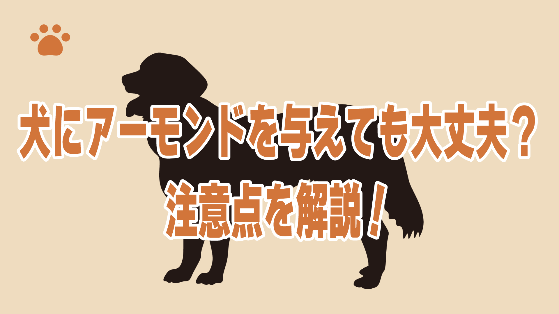 犬にアーモンドを与えても大丈夫？注意点を解説！