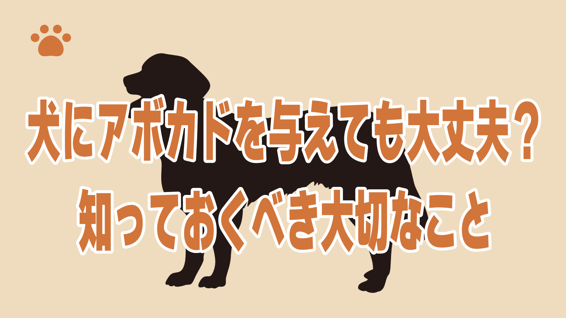 犬にアボカドを与えても大丈夫？知っておくべき大切なこと