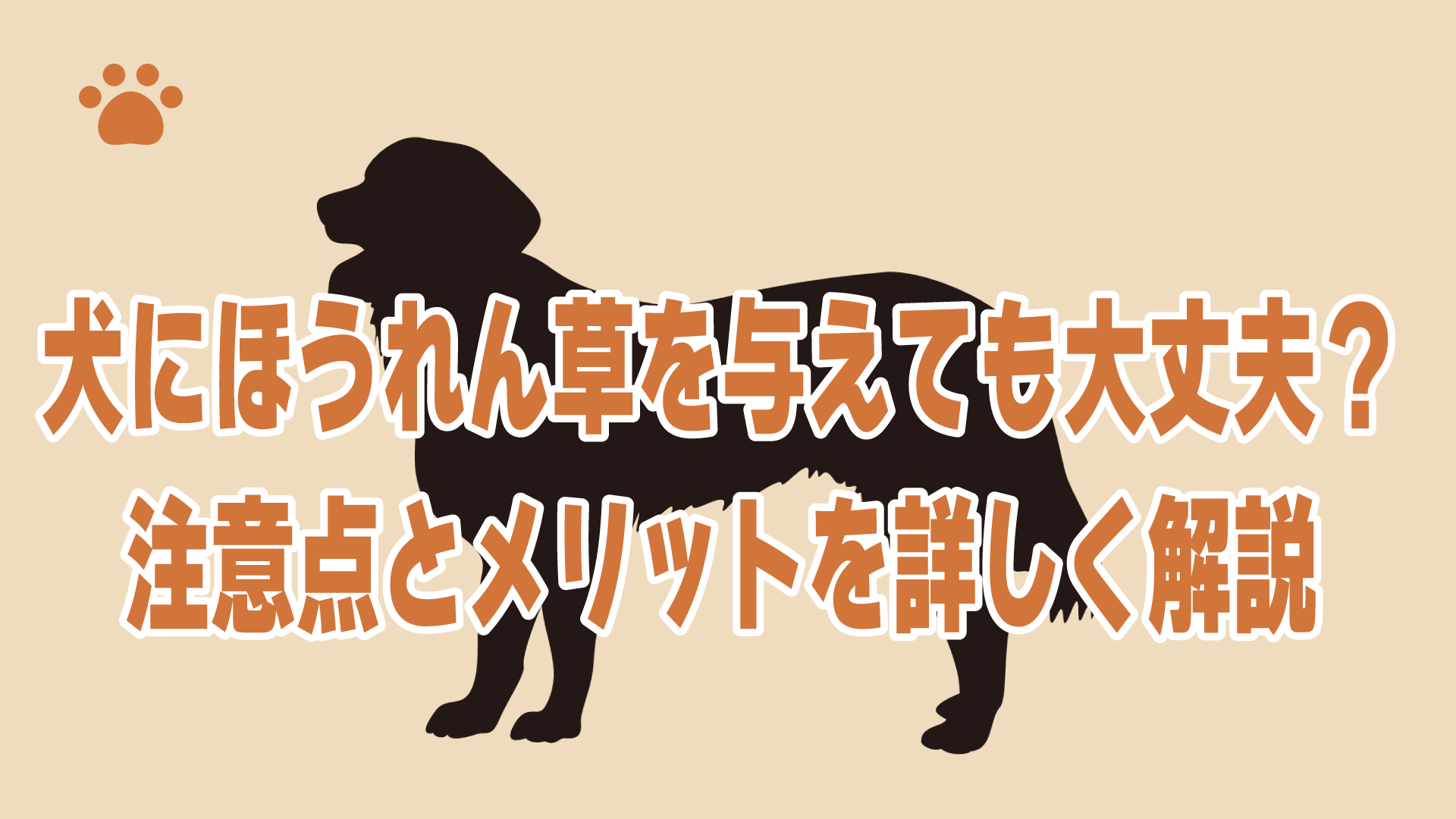 犬にほうれん草を与えても大丈夫？注意点とメリットを詳しく解説