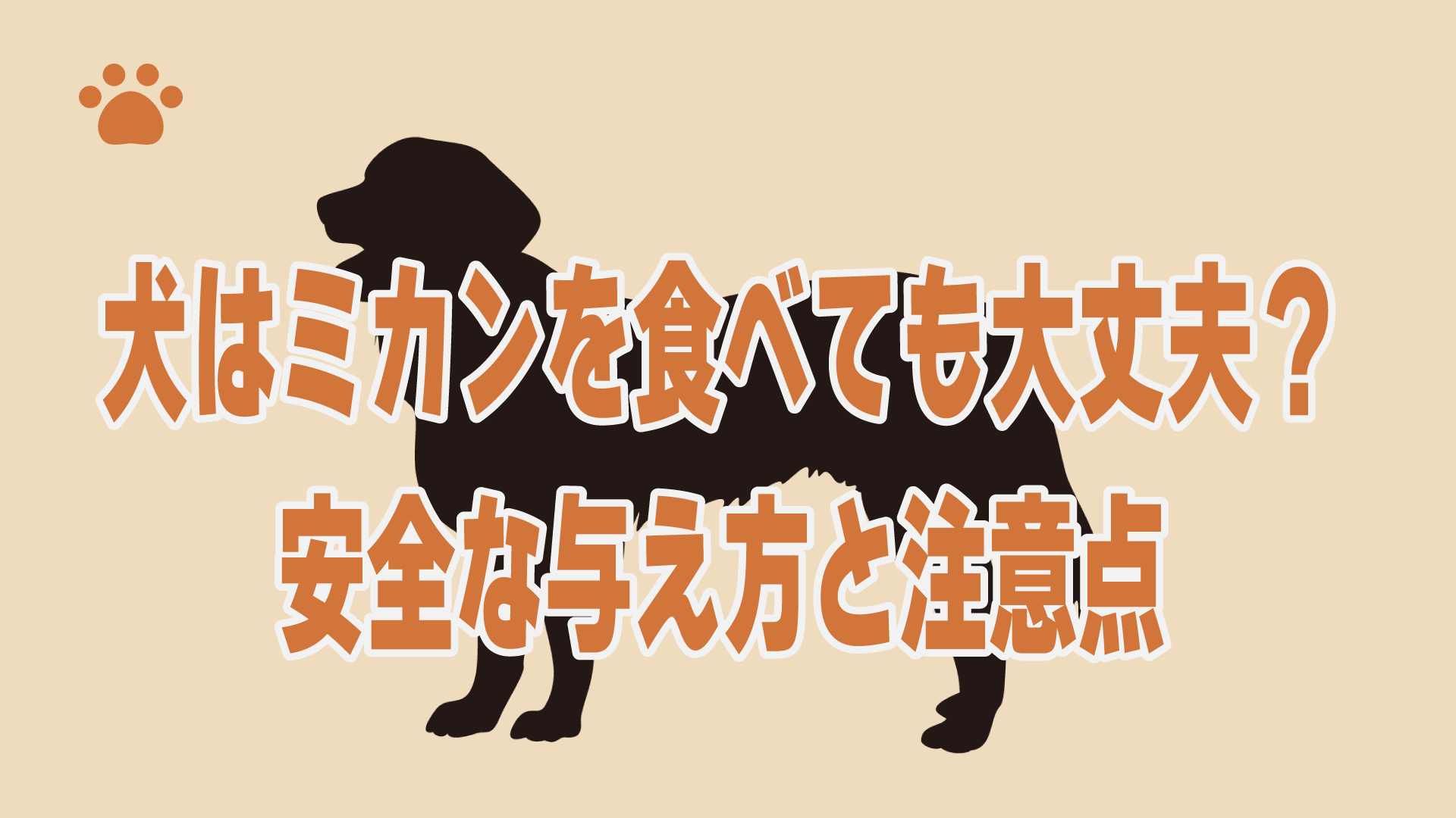 犬はミカンを食べても大丈夫？安全な与え方と注意点