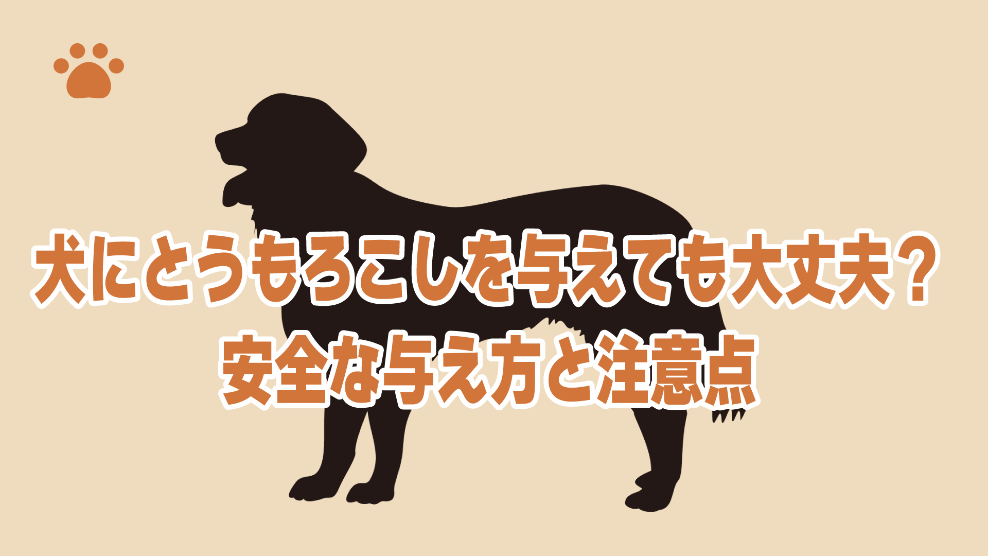 犬にとうもろこしを与えても大丈夫？安全な与え方と注意点