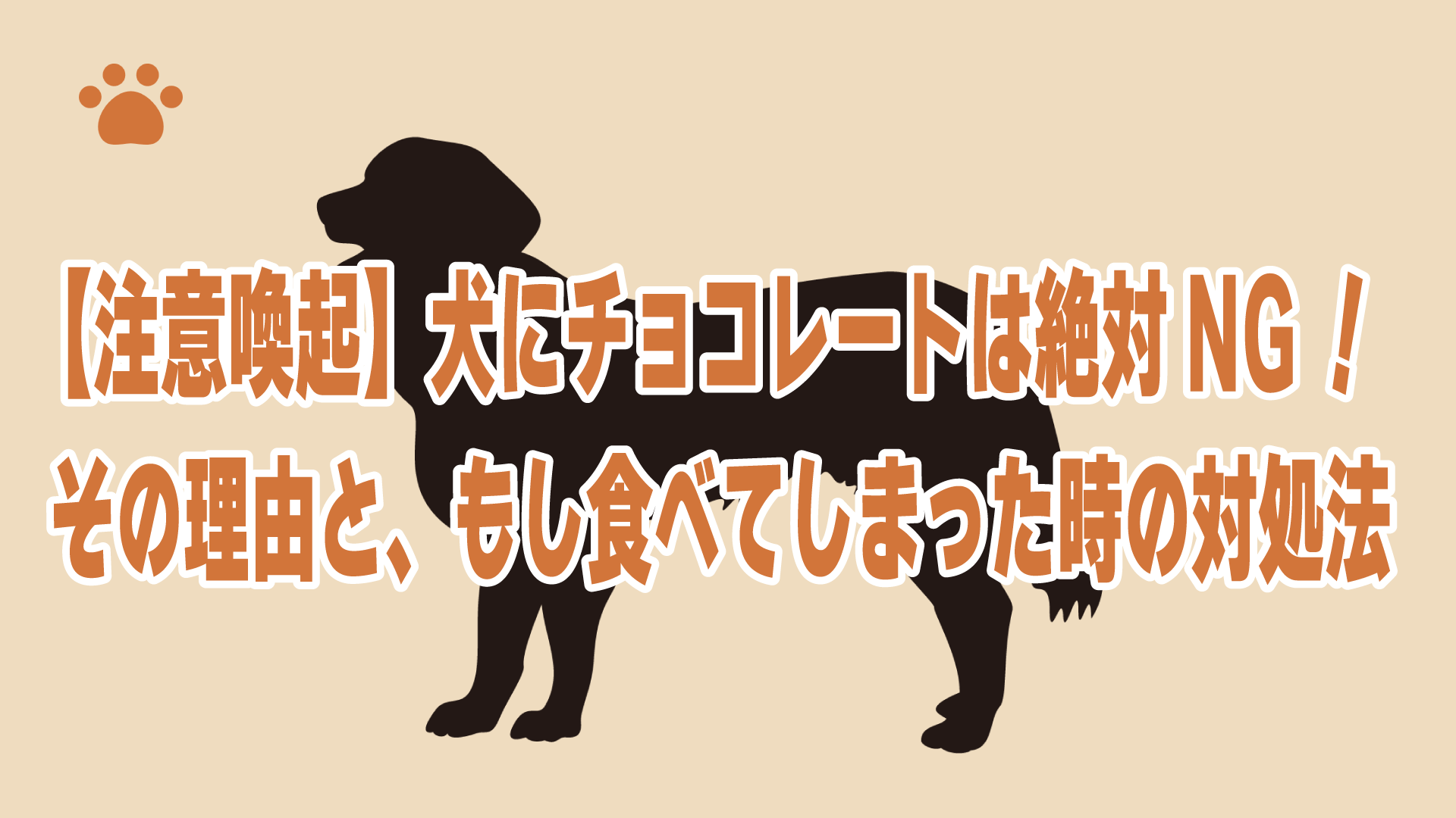 【注意喚起】犬にチョコレートは絶対NG！その理由と、もし食べてしまった時の対処法