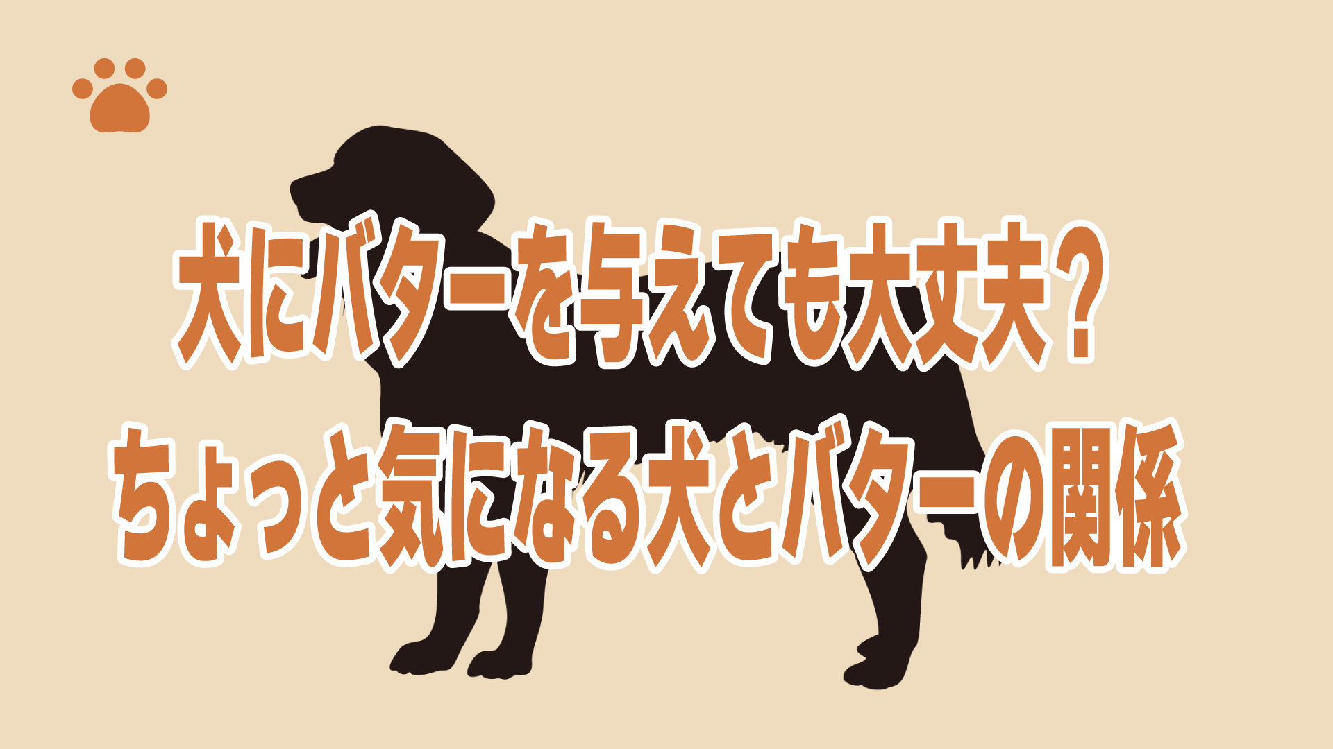 犬にバターを与えても大丈夫？ちょっと気になる犬とバターの関係