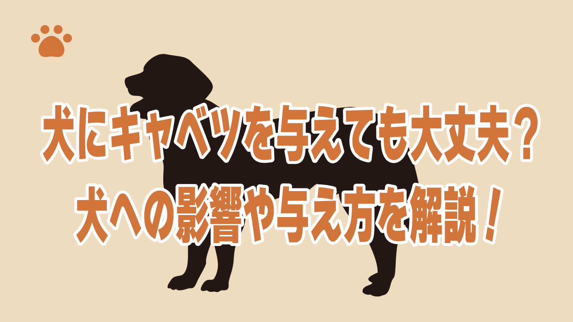 犬にキャベツを与えても大丈夫？犬への影響や与え方を解説！