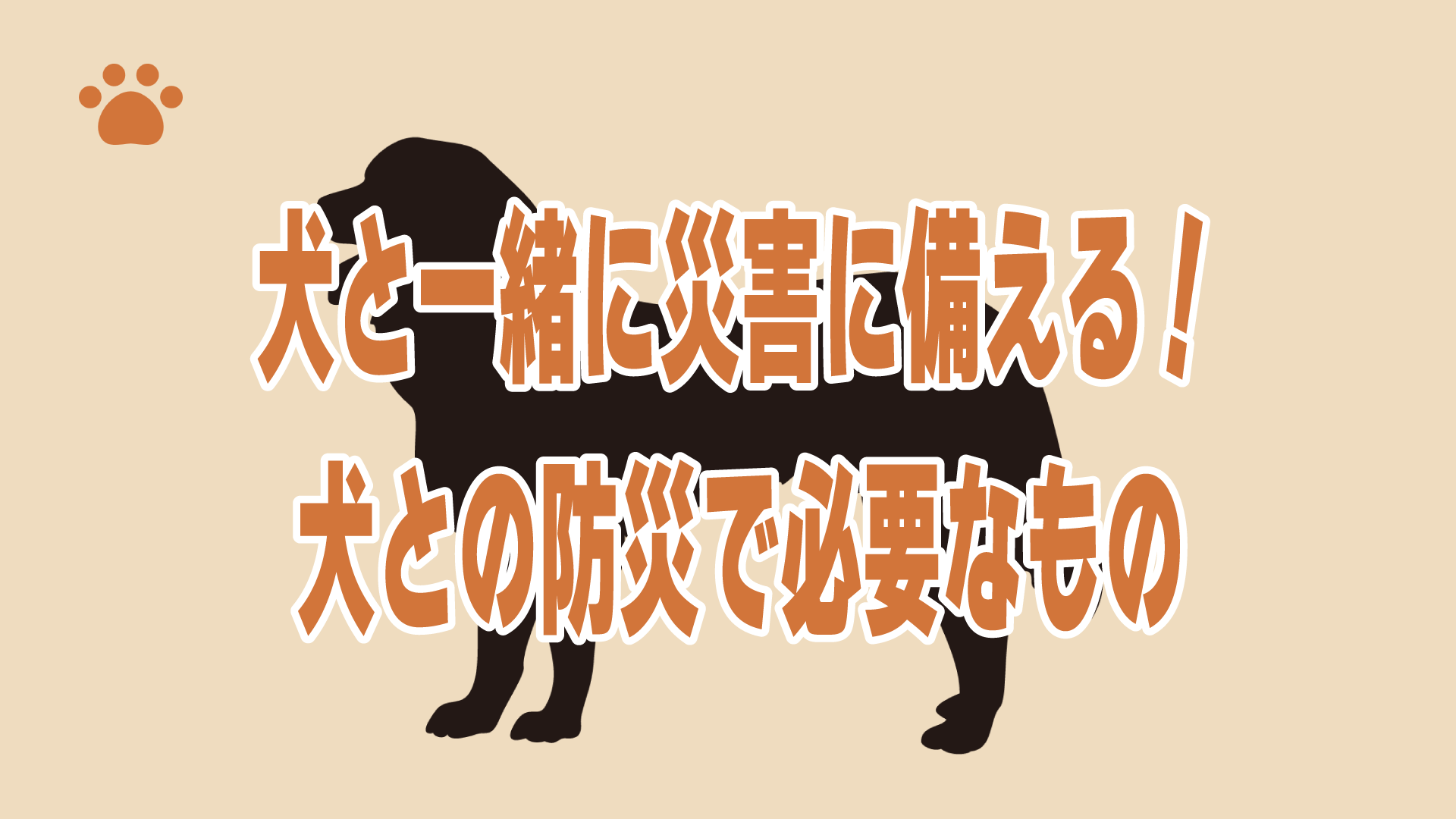 犬と一緒に災害に備える！犬との防災で必要なもの