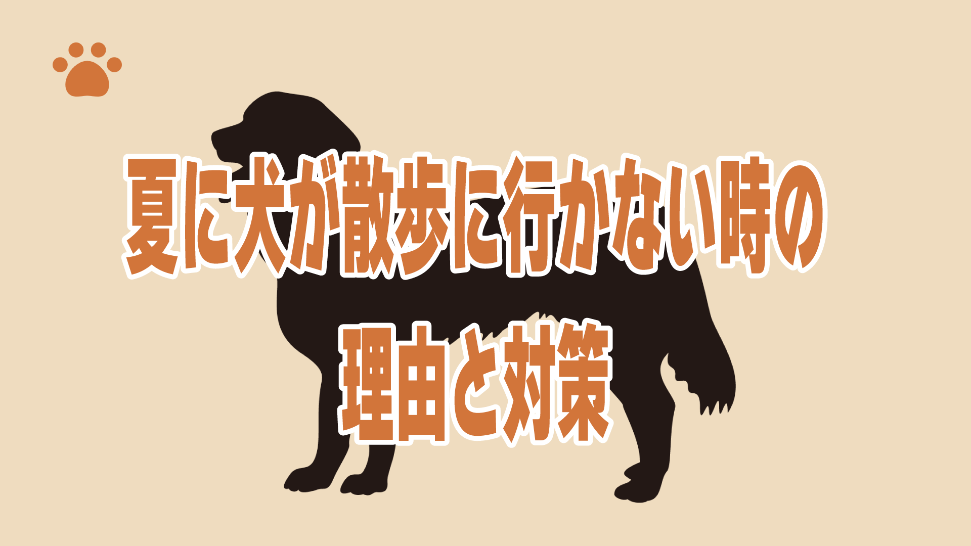 夏に犬が散歩に行かない時の理由と対策
