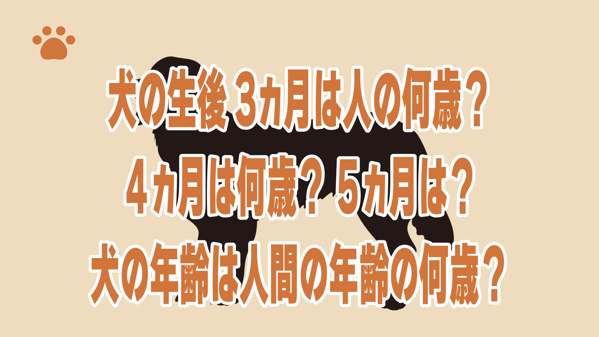 犬の生後3ヵ月は人の何歳？４ヵ月は何歳？５ヵ月は？犬の年齢は人間の年齢の何歳？