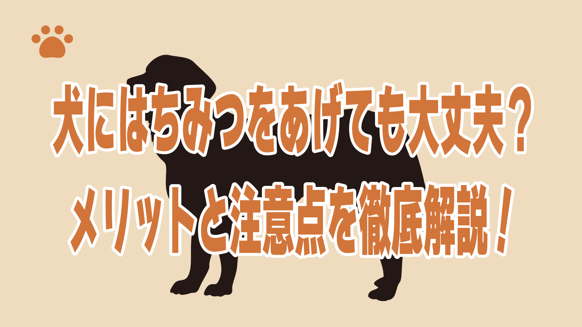 犬にはちみつをあげても大丈夫？メリットと注意点を徹底解説！
