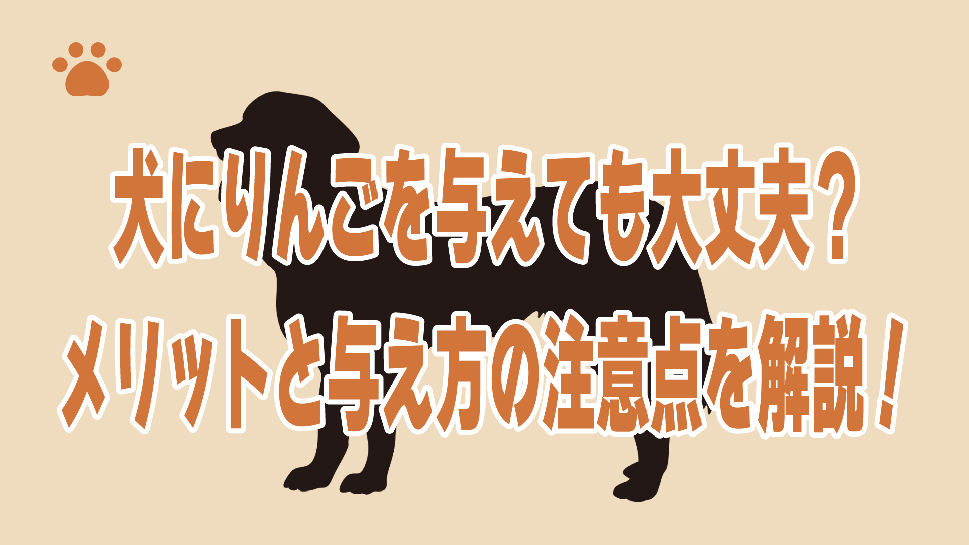 犬にりんごを与えても大丈夫？メリットと与え方の注意点を解説！