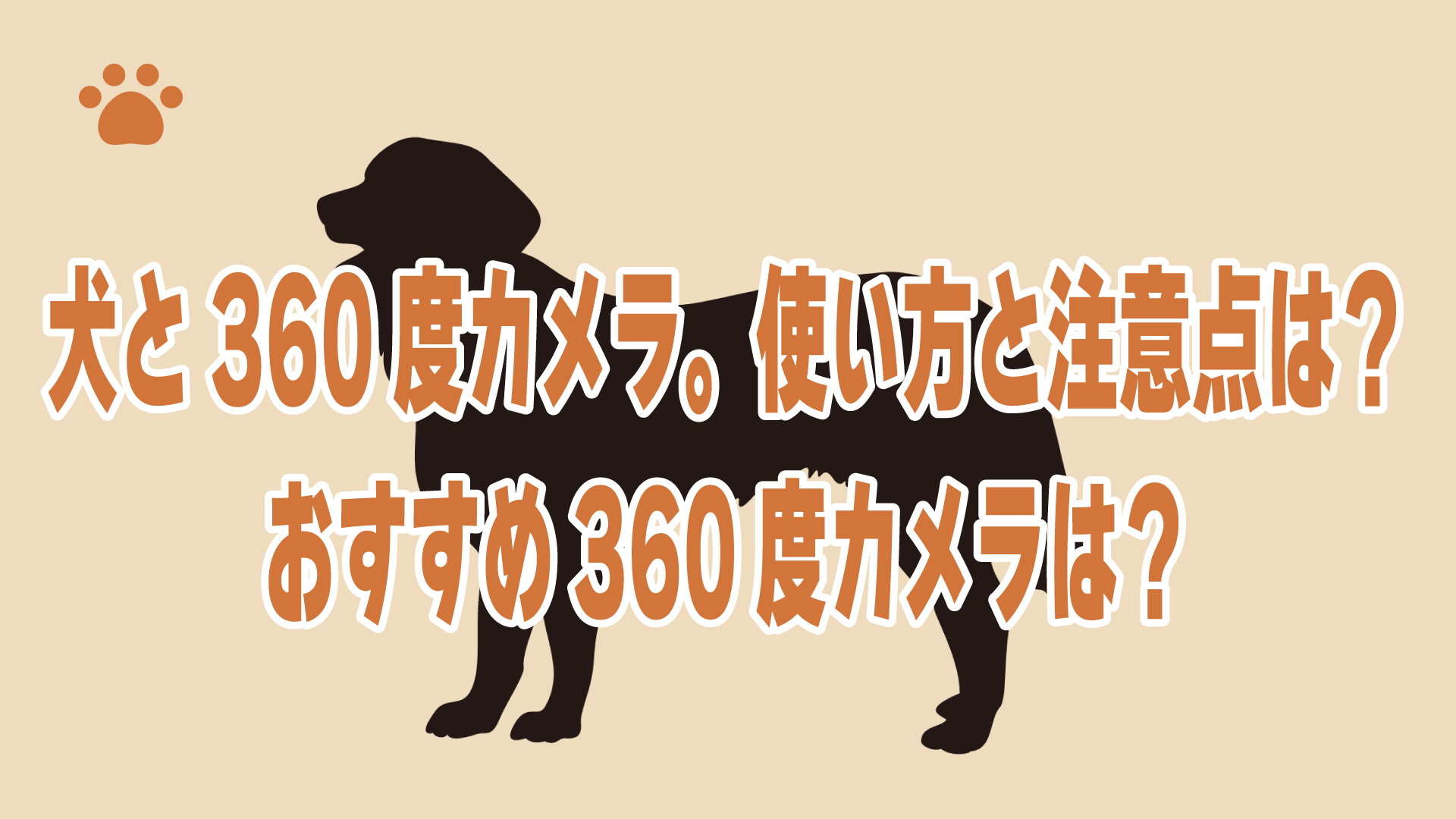 犬と360度カメラ。使い方と注意点は？おすすめ360度カメラは？