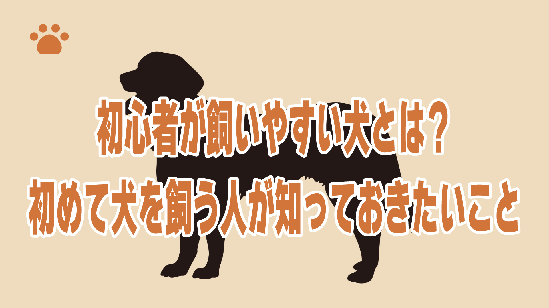 初心者が飼いやすい犬とは？初めて犬を飼う人が知っておきたいこと