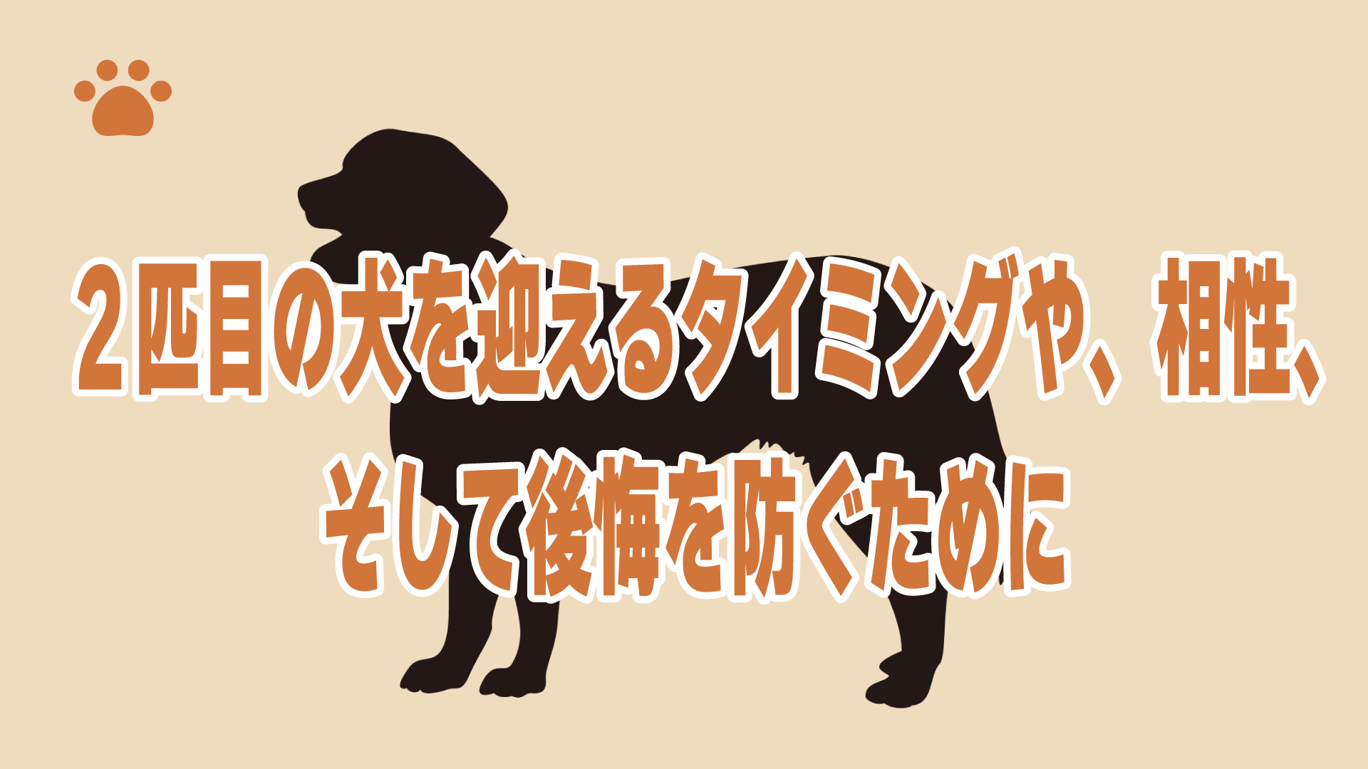 ２匹目の犬を迎えるタイミングや、相性、そして後悔を防ぐために